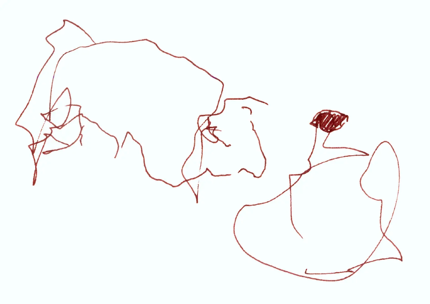Le taureau et le toréador face à face, dessinés au trait de plume, encre brune.